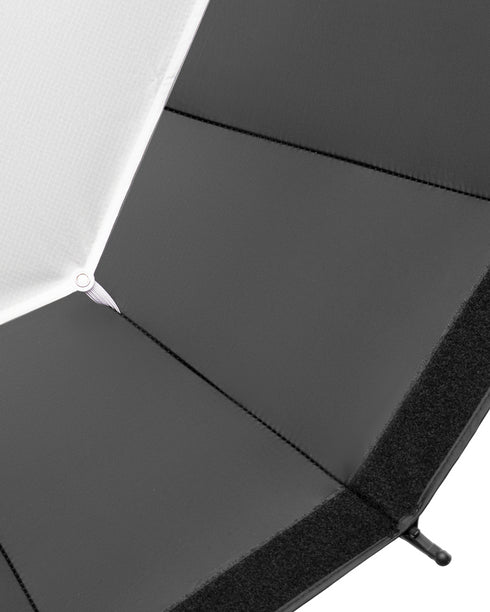 40" Blackdish